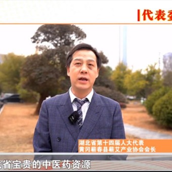 省人大代表履职观察 | 蕲艾堂董事长田群：擦亮“蕲艾”招牌 助推大健康产业发展