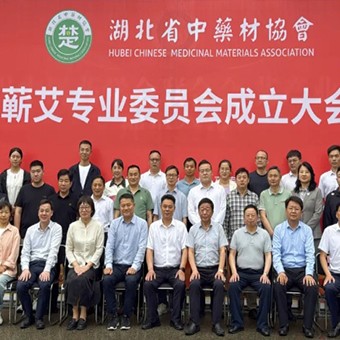 省级蕲艾专委会成立！蕲艾千亿产业征程，这株小草如何改写中医药版图？